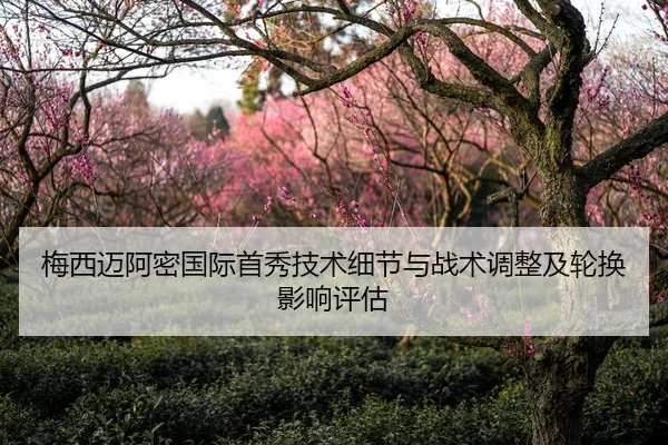 mei-xi-mai-a-mi-guo-ji-shou-xiu-ji-shu-xi-jie-yu-zhan-shu-tiao-zheng-ji-lun-huan-ying-xiang-ping-gu-2-863.jpg